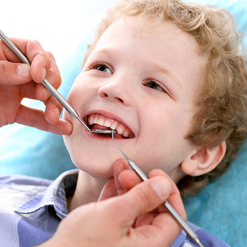 Dental Cleanings & Exams Services